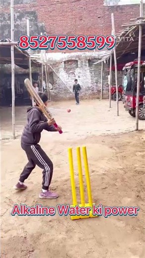 Alkaline water filter