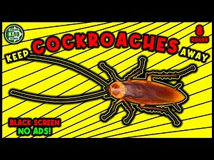 ANTI COCKROACHES REPELLENT SOUND ⛔🕷 KEEP COCKROACHES AWAY - ULTRASONIC SOUND