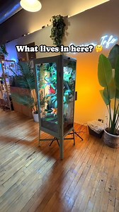 909K views · 3.3K reactions | What lives in here? 樂 | Aquarium Info | Facebook