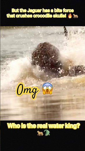 Jaguar vs Crocodile: The Ultimate Underwater Hunt!🐆🐊 #shorts #wildlife #animals #facts #fyp #facts