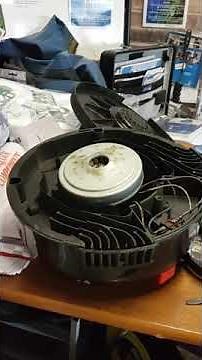 Henry vacuum cleaner filter and motor clean