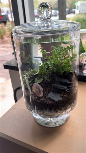 Create Your Own Terrarium at Our Fully Stocked Bar