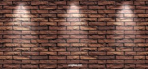 TEMA 5.ORGANISMOS DE CONTROL