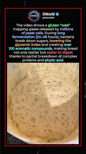 Professional fermentation: perfect porous bread.