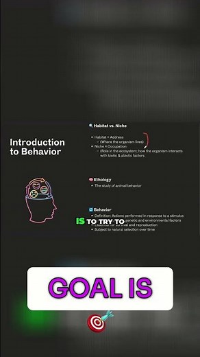 Bunny Habitat vs. Niche: Understanding the Difference