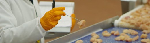 Food Safety & Quality Assurance Jobs at Bell & Evans