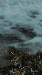 Nadie te salvará #reelsviral #reels #motivation | La Última Resistencia