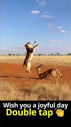 The Lion’s Logic Loud voice = Victory