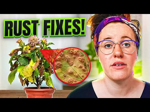LEAF RUST 101! PREVENTION & TREATMENT FOR ALL 5000 VARIETIES | Gardening in Canada