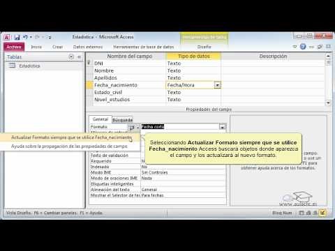 Curso de Access 2010. 5.1. Formato y máscara.