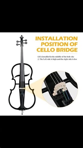 Experience the Vasitelan Electric Cello!