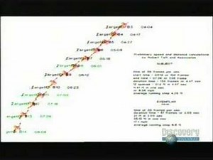 Sasquatch Bigfoot: Legend Meets Science 5/5