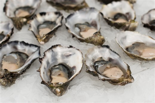 Salmonella outbreak linked to raw oysters hits 22 states including Georgia