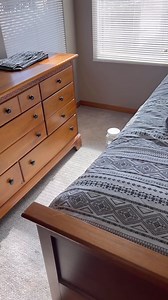 370K views · 1.2K reactions | This is what happens when an aerospace engineer tries to do biology. #experiment #science #engineer #aviation #pilot #engineer | Jack Schneider | Facebook