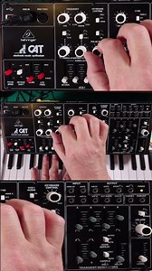 Behringer Cat Synth: Pulse Width Modulation Magic #shorts