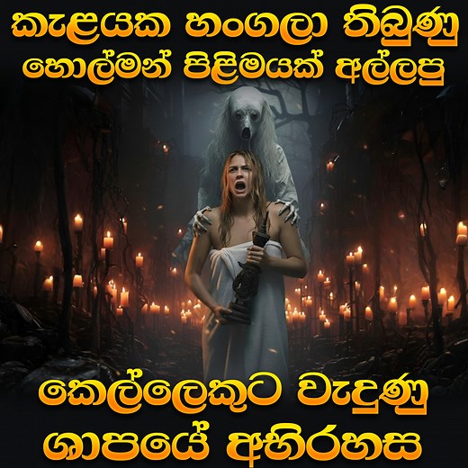 119K views · 3.5K reactions | නොදන්න දේවල් අල්ලන්න එපා කියන්නේ මෙන්න මේක නිසයි️ #CrimeThriller2025 #horrormovie #Holman #moviesinhala #insidecinemax #trendingpost #viralpost2025シ | Inside Cinemax | Facebook