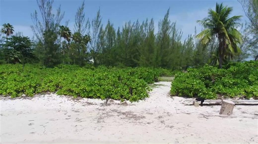 Behind the scenes of a beach shoot! #sea #beach #videography #aerialvideography #droneoperator #scenefilm