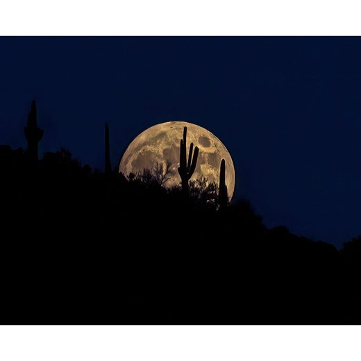 Saguaro Cactus Moonrise | Southwestern Photography Print- Jeremy Johnson - Etsy