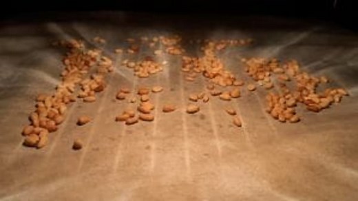 Comment torréfier les pignons de pin ?