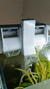 5.8K views · 32 reactions | Sunsun XBA series hob filter | Dr. Aqua | Facebook