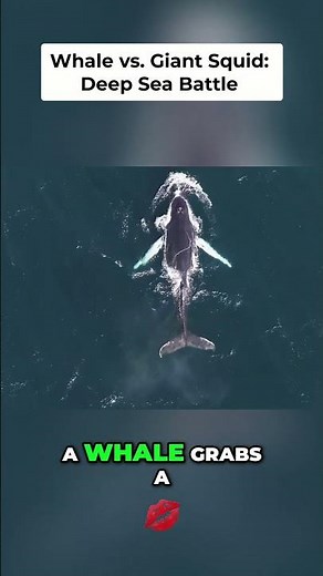 The deadliest hunter.#deepsea #documentary #oceandocumentary #discovery #nature #oceanmysteries