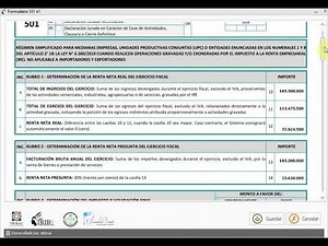 Verificación Formulario 501