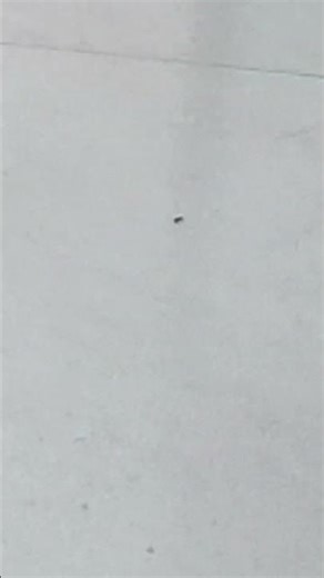 olha o zoom do meu tablet