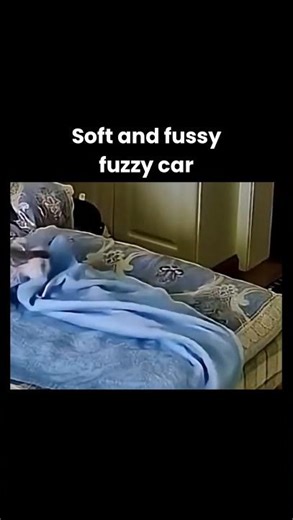 Soft and fussy fuzzy car