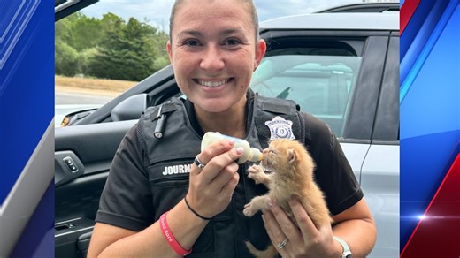 Animal control officers aided in over 400 law enforcement efforts, plans to expand strategy