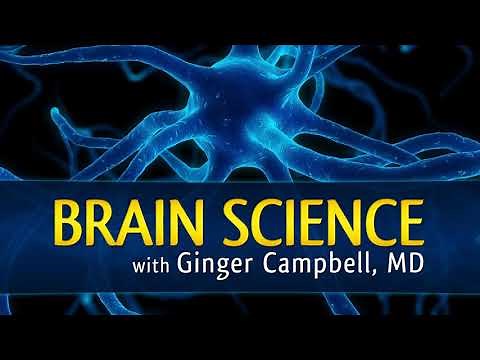 BS 167 Stanislas Dehaene explores "How We Learn"