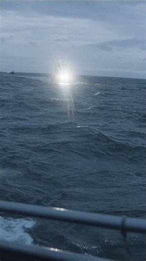 One of the most sustainable fisheries in the world.