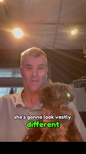 4 comments | Say Hi to Ruby! (Mark's cutest pet) #MeetRuby #mycutestpet❤️ #doglife #reallifeewok | 98.7 WINK COUNTRY | Facebook