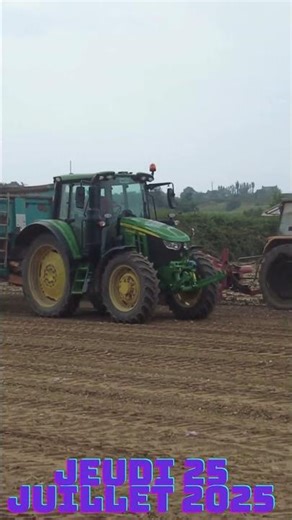 Ramassage des oignons 2025