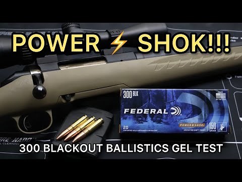 DEER & HOG SLAYERS?! 300 Blackout Federal PowerShok 150gr Ammo Test