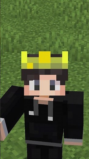 Spectating Mobs in Minecraft is Very Weird #slaapgaming #minecraft #shorts