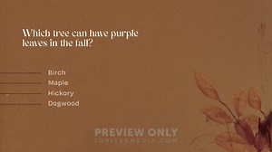 Autumn Nature - Trivia (No Timer) - Countdowns 5-Minute