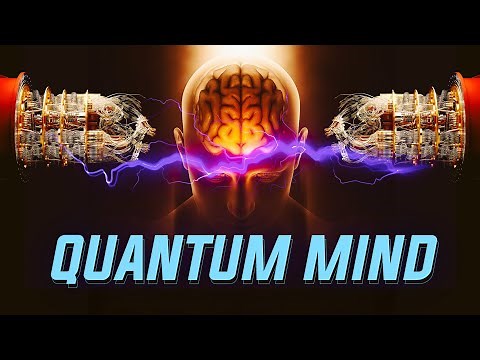 Are Our Brains Quantum Computers?