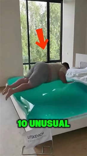 10 Unusual Types of Beds You’ve Never Seen Before:Number 1 Will Leave You Speechless. | TOP 10