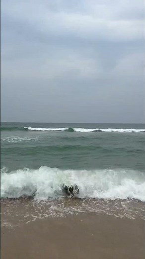 How to spot a Rip Current 101: