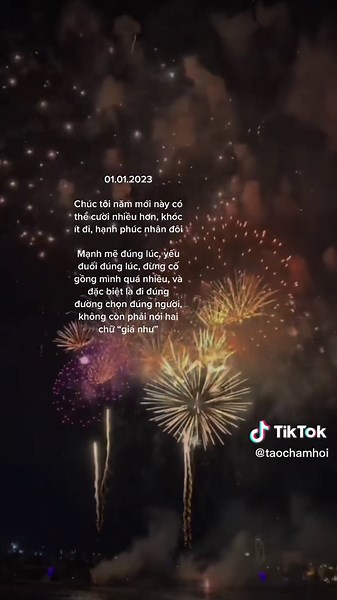 Spectacular Night Fireworks Display Over Cityscape