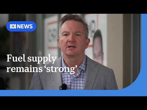 Energy Minister Chris Bowen updates on Australia's fuel supply | ABC NEWS
