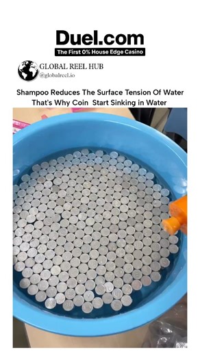 GLOBAL REEL HUB on Instagram: "The video shows dozens of coins floating on water's surface due to high surface tension, which collapses when shampoo—a surfactant—is added, causing rapid sinking as tension drops from ~72 mN/m to under 40 mN/m. This classic physics demo, similar to penny-drop experiments in Scientific American, illustrates how intermolecular forces in water create a "skin" supporting objects denser than water until disrupted by detergents. Posted by media curator on November 23, 2