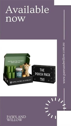 Dog Subscription Box | The Walkies Regular Pooch Pack