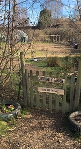 It's #CommunityGardenWeek and our Audio/Visual Editor, Claire, has been to visit Petersfield Community Garden in Hampshire. She says: "It's a really welcoming place that supports anyone who wants to grow and connect to nature – all with a smile and a great cup of tea!" Share your community garden spaces below, and let us know, what are working on this spring? | BBC Gardeners' World Magazine