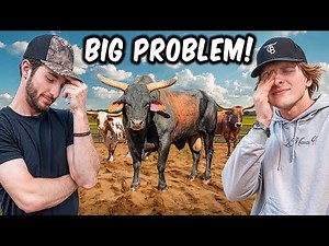 Our Best Bucking Bull Bred Our longhorns…