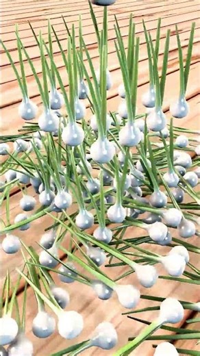 Spring Onion Reverse Animation ASMR 163 #satisfying #3danimation #shorts