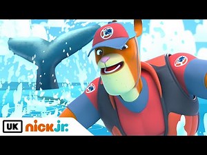 Kangaroo Beach | Pounce Helps Bondi Save Gemma & Neville 🦘🏖 | Nick Jr. UK