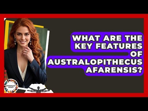 What Are The Key Features Of Australopithecus Afarensis? - Anthropology Insights