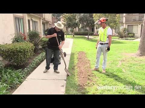 Root Barriers: Prevent Trip & Fall Injuries with Century’s Protective Solutions