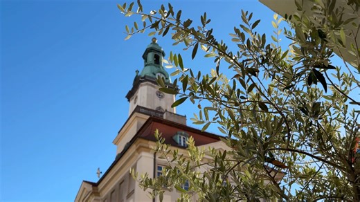 Projekt budżetu Jeleniej Góry 𝗻𝗮 𝟮𝟬𝟮𝟲 𝗿𝗼𝗸 - 𝘇𝗮 𝗻𝗮𝗺𝗶 𝗸𝗼𝗻𝗳𝗲𝗿𝗲𝗻𝗰𝗷𝗮 𝗽𝗿𝗮𝘀𝗼𝘄𝗮 z udziałem władz Miasta: 𝗱𝗼𝗰𝗵𝗼𝗱𝘆: 𝟴𝟲𝟯,𝟴 𝗺𝗹𝗻 zł, 𝘄𝘆𝗱𝗮𝘁𝗸𝗶: 𝟵𝟲𝟮,𝟵 𝗺𝗹𝗻 zł, 𝗶𝗻𝘄𝗲𝘀𝘁𝘆𝗰𝗷𝗲: 𝟭𝟴𝟮 𝗺𝗹𝗻 zł. W miniony piątek projekt budżetu Miasta na rok 2026 przedłożony został Radzie Miejskiej oraz Regionalnej Izbie Obrachunkowej. Miasto Jelenia Góra: tak wygląda projekt budżetu Jeleniej Góry na 2026 rok w liczbach👇 • Dochody budżetu 863 882 982,18 zł, z teg